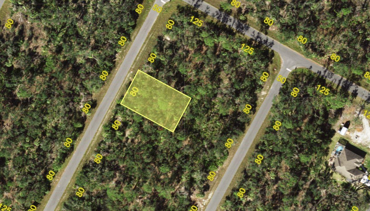 1236 Wendy Terrace, FL