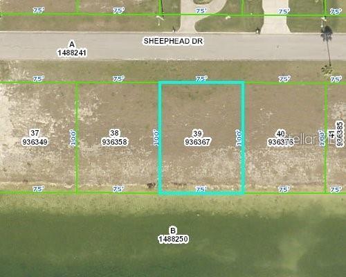 3464 Sheephead Drive, FL