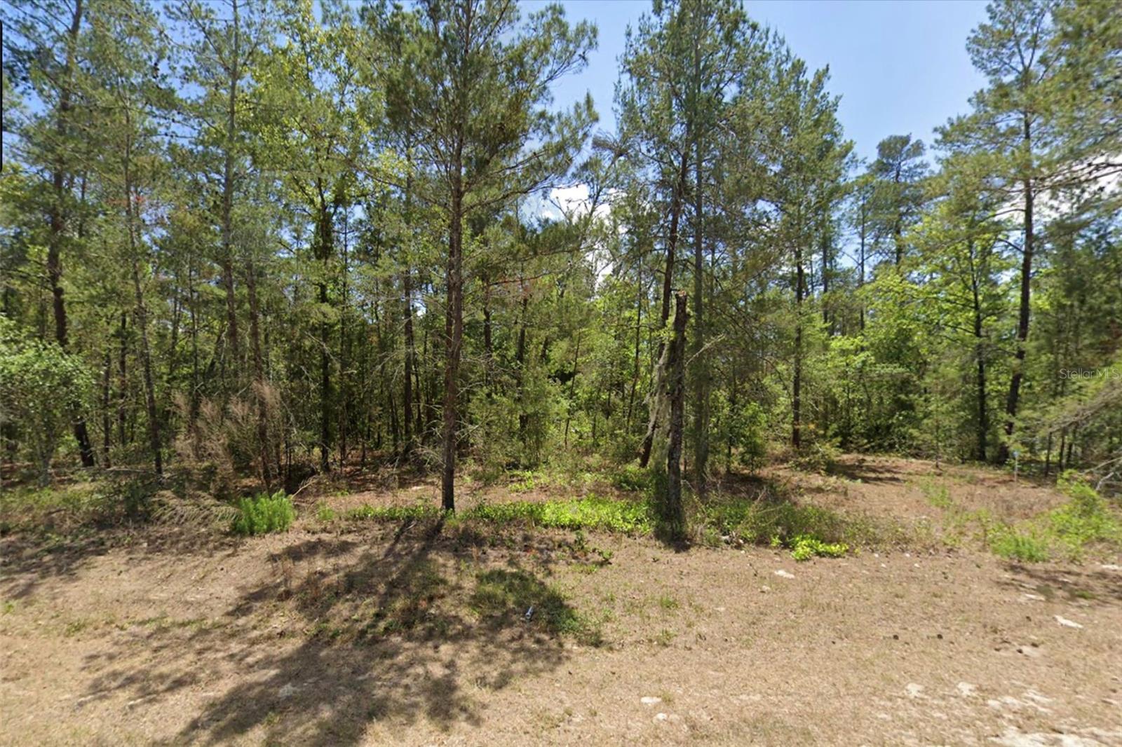 6230 Oak Park Boulevard, FL