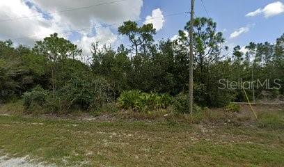 27186 Mandalay Drive, FL