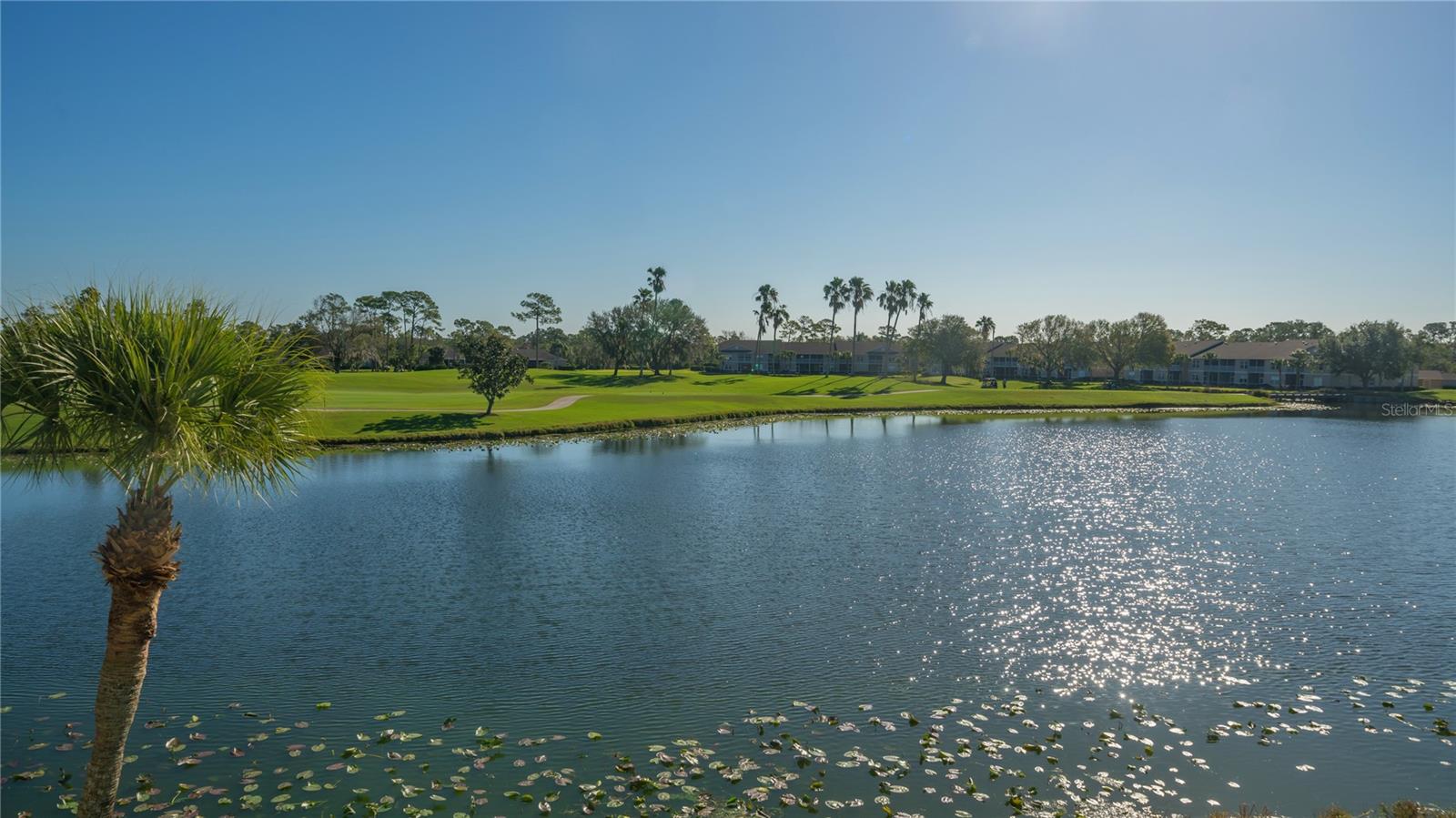 5241 Mahogany Run Avenue, FL