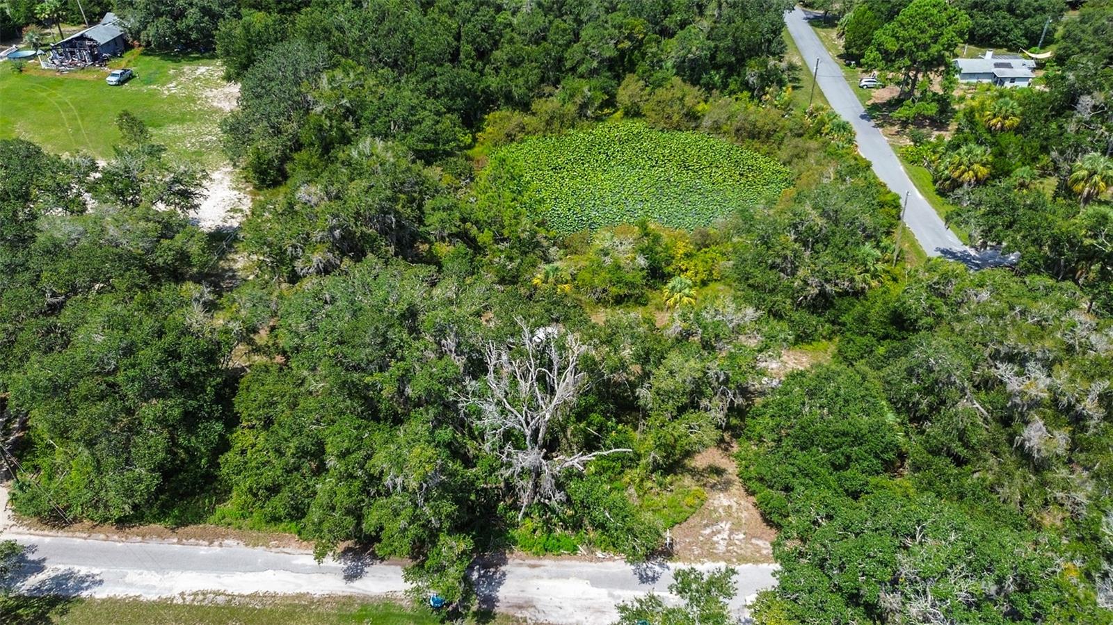 8601 Bass Lake Road, FL