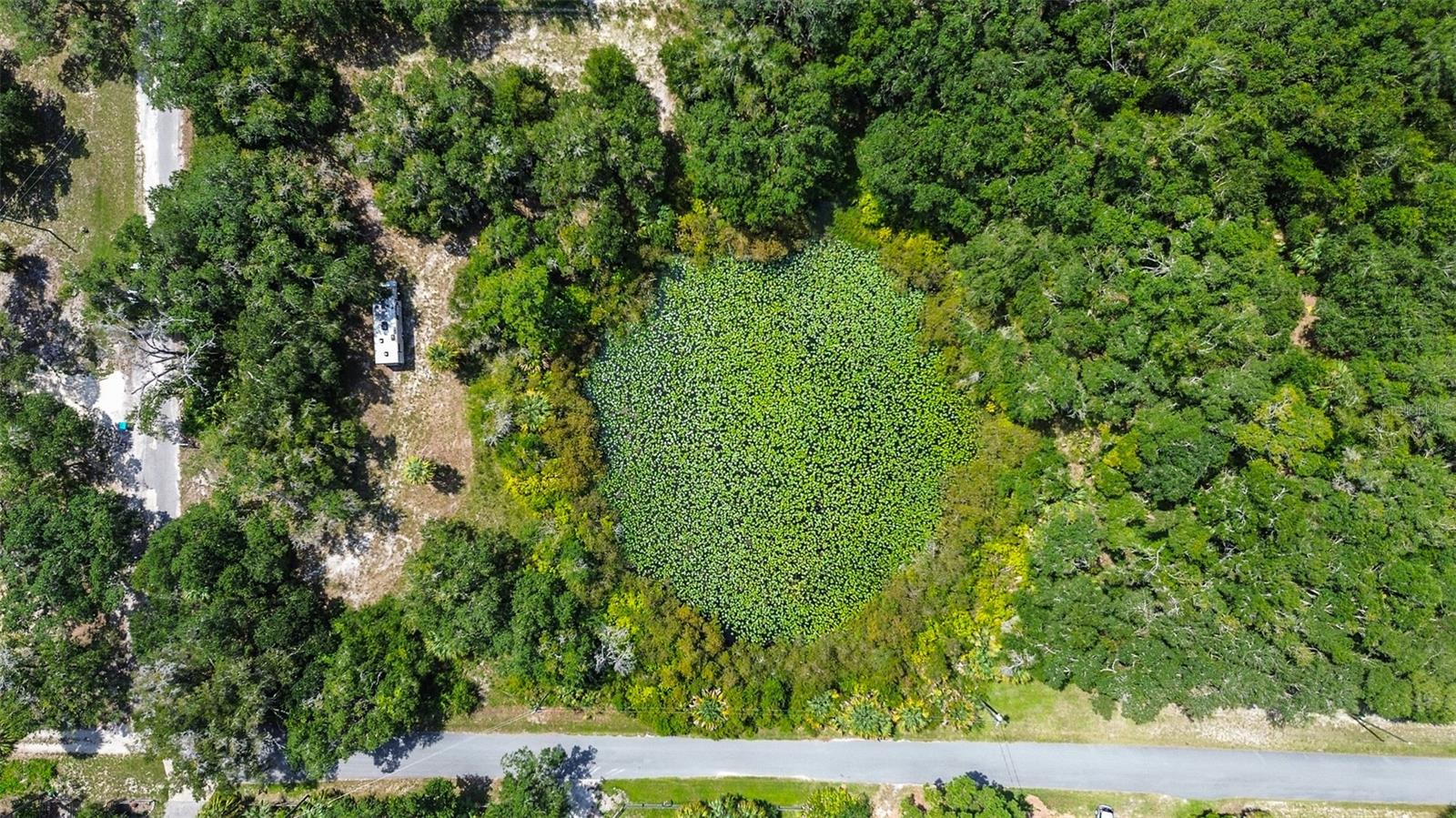 8601 Bass Lake Road, FL