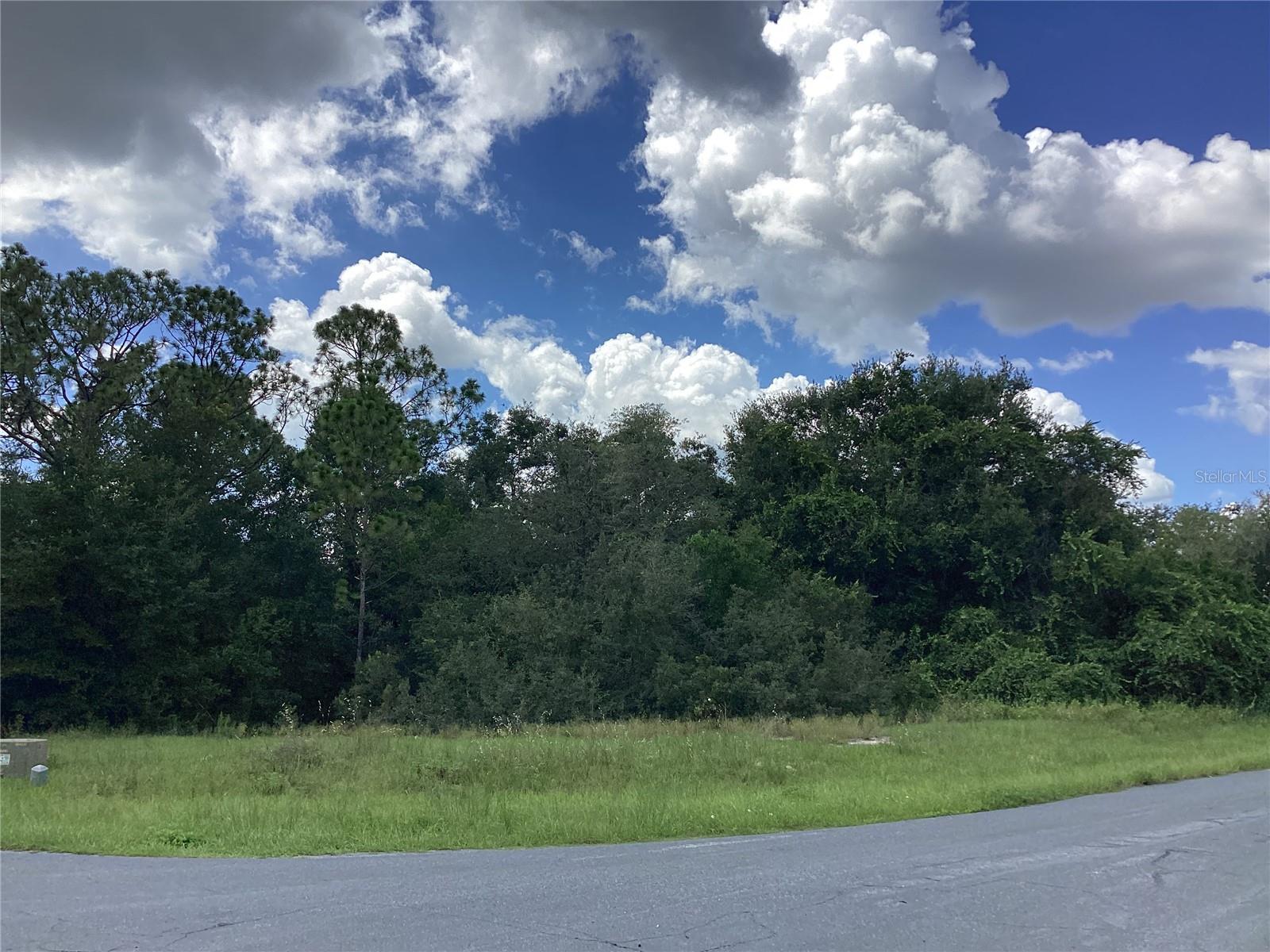 0 Hickory Ridge Drive, FL