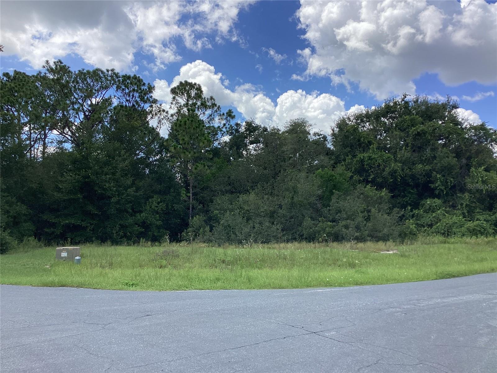 0 Hickory Ridge Drive, FL