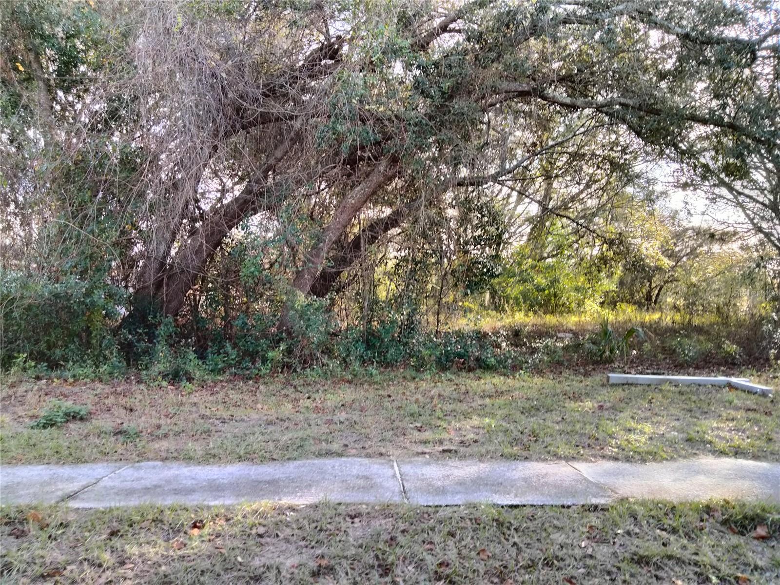 Sheeler Oaks Drive, FL