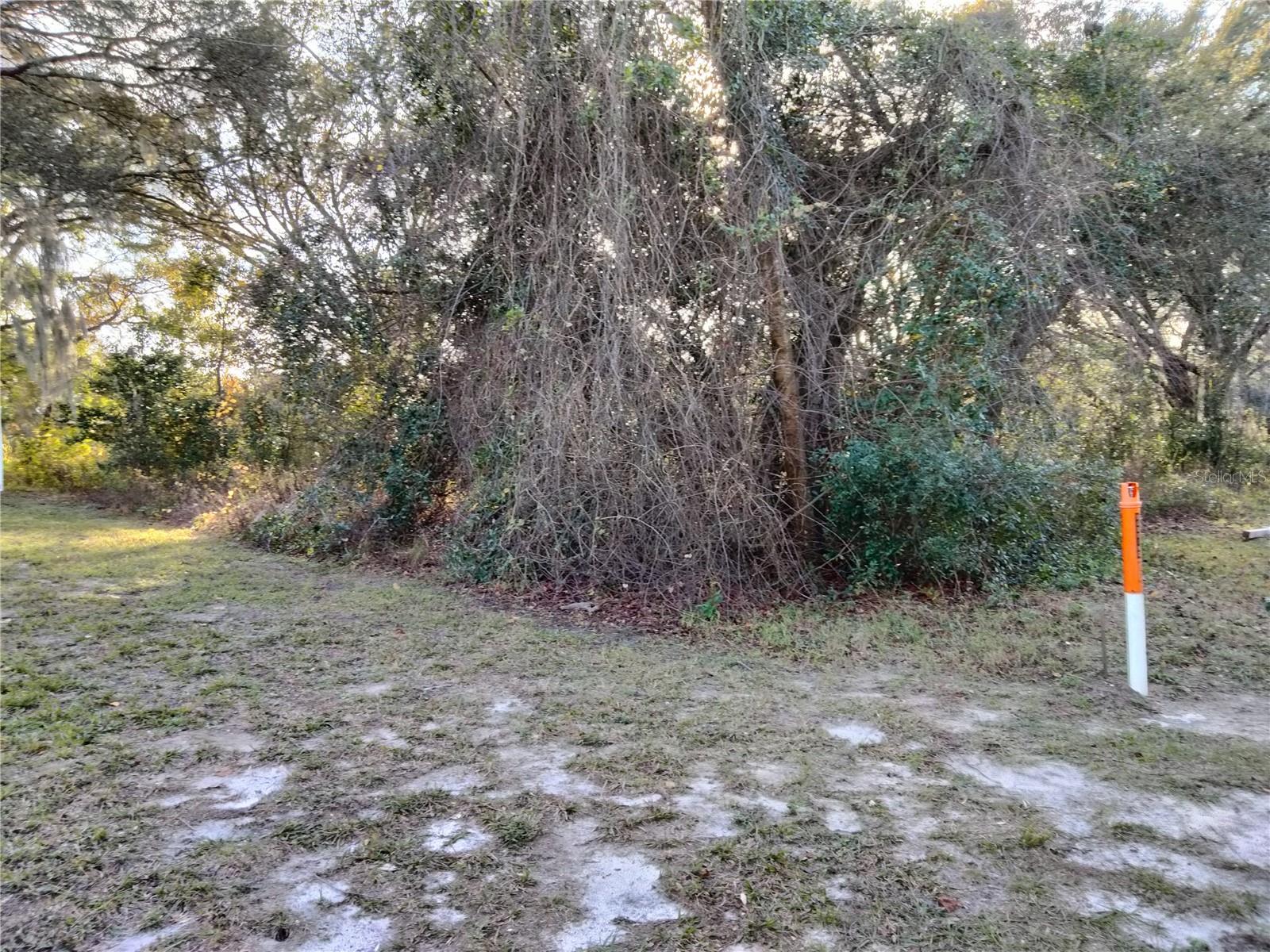 Sheeler Oaks Drive, FL