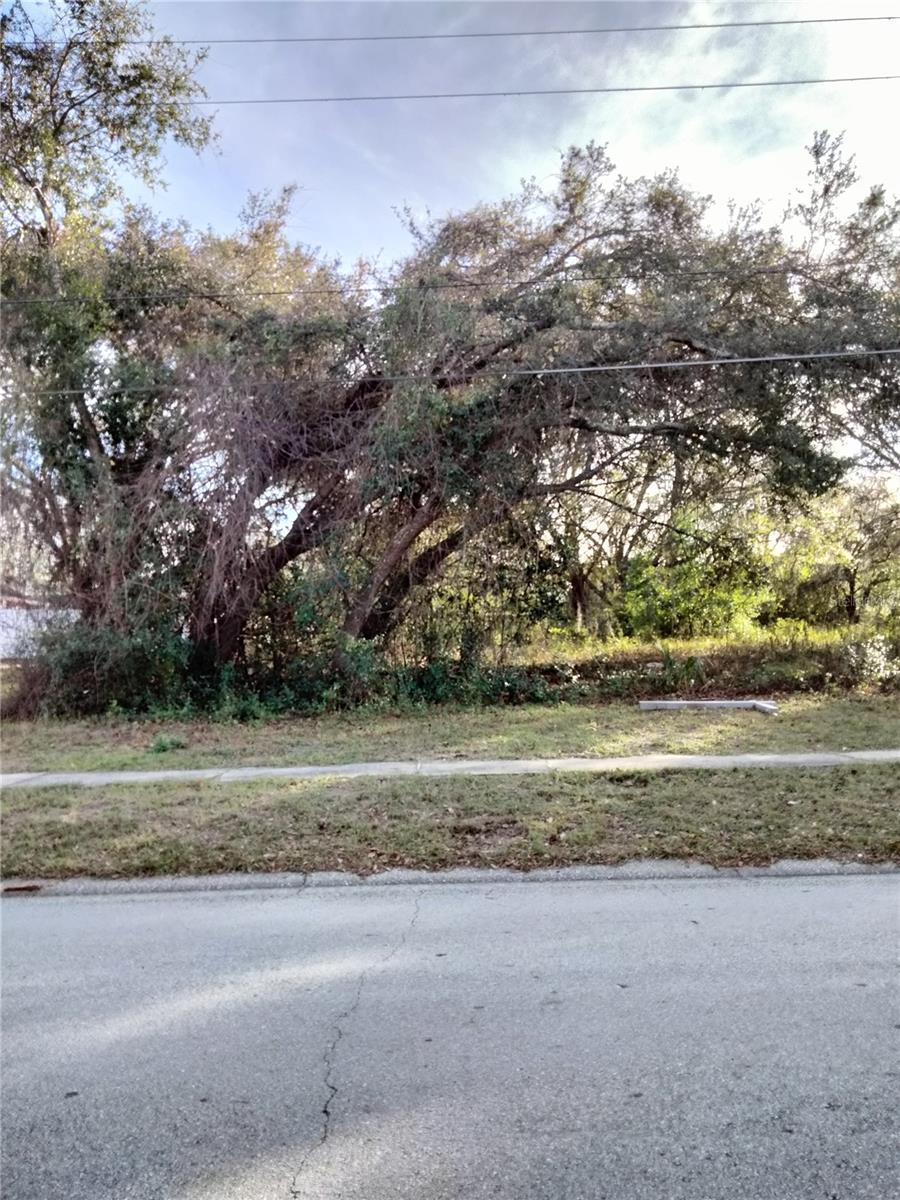 Sheeler Oaks Drive, FL