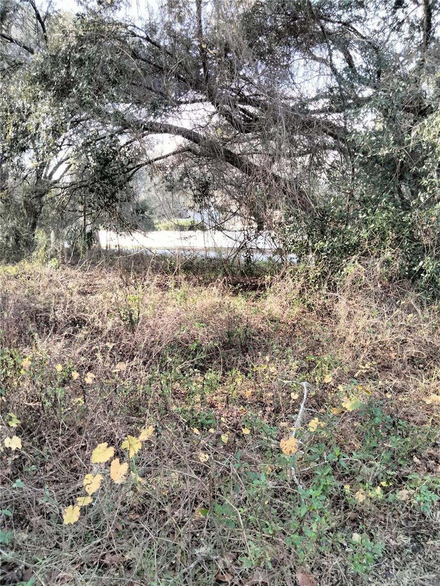 Sheeler Oaks Drive, FL