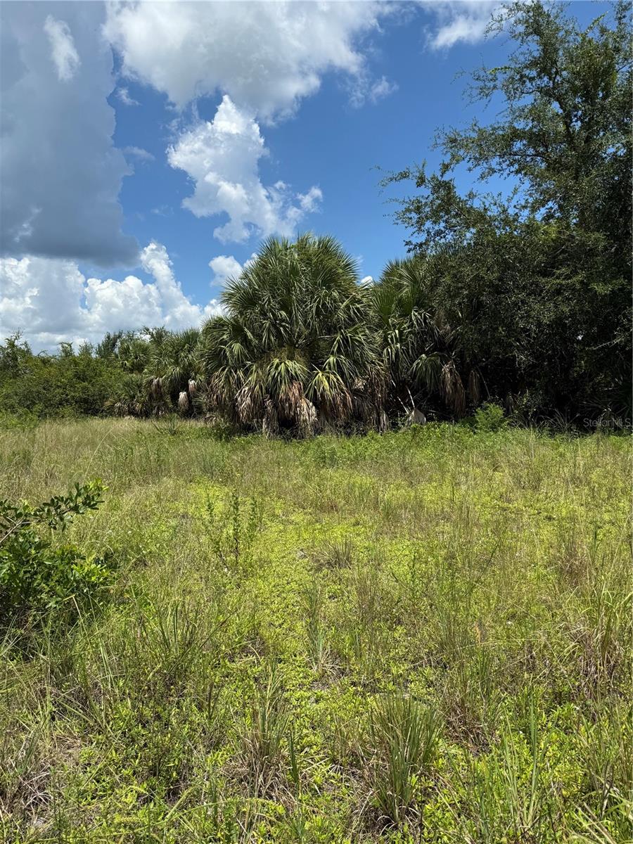 14194 And 14202 Barnwood Lane, FL