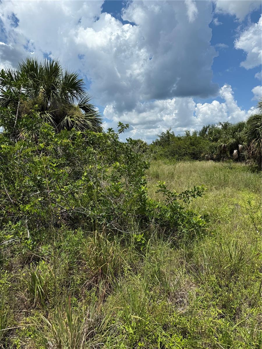 14194 And 14202 Barnwood Lane, FL