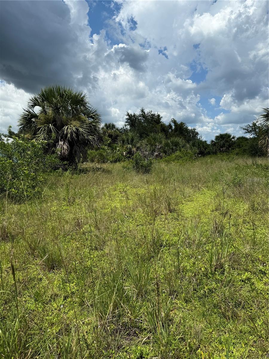 14194 And 14202 Barnwood Lane, FL
