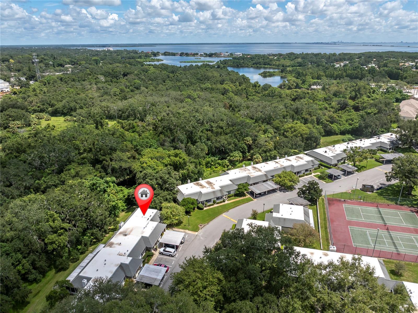 1377 Mcmullen Booth Road, FL
