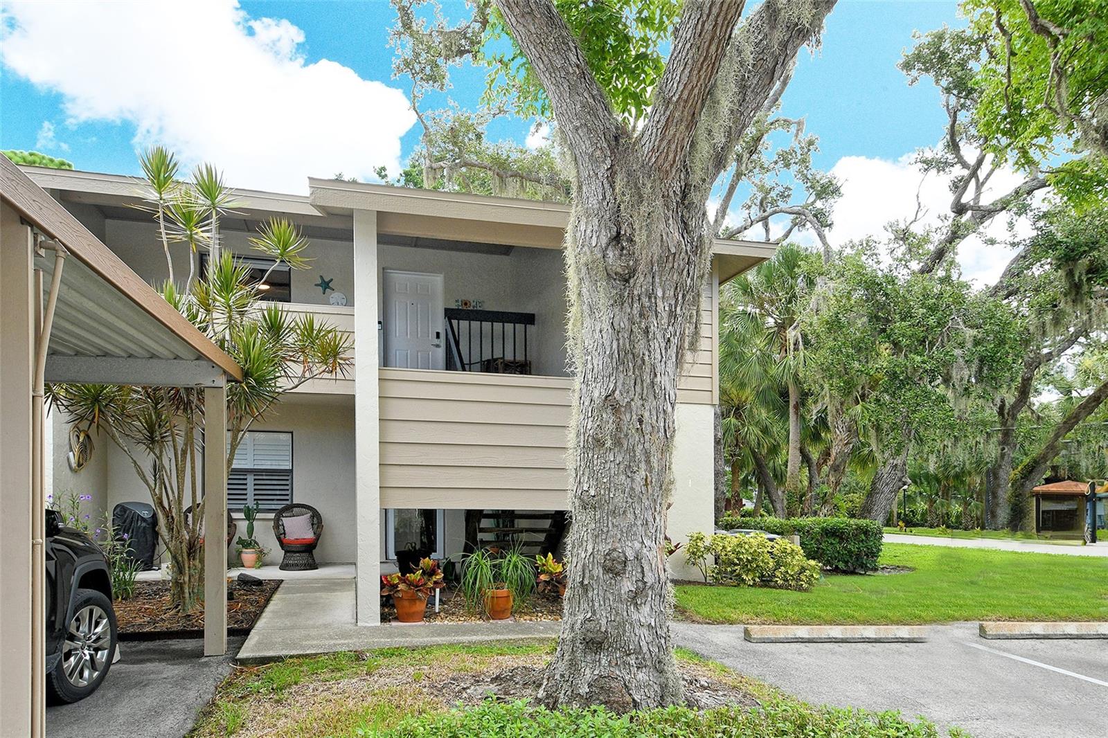 3269 Cross Creek Drive, FL