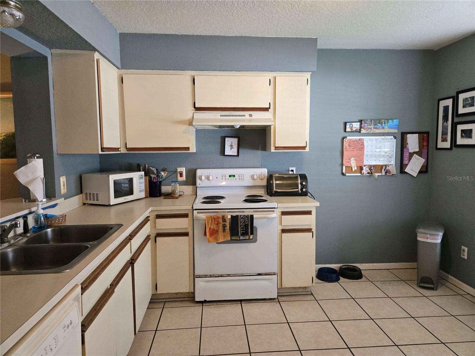 411 Green Spring Circle, FL
