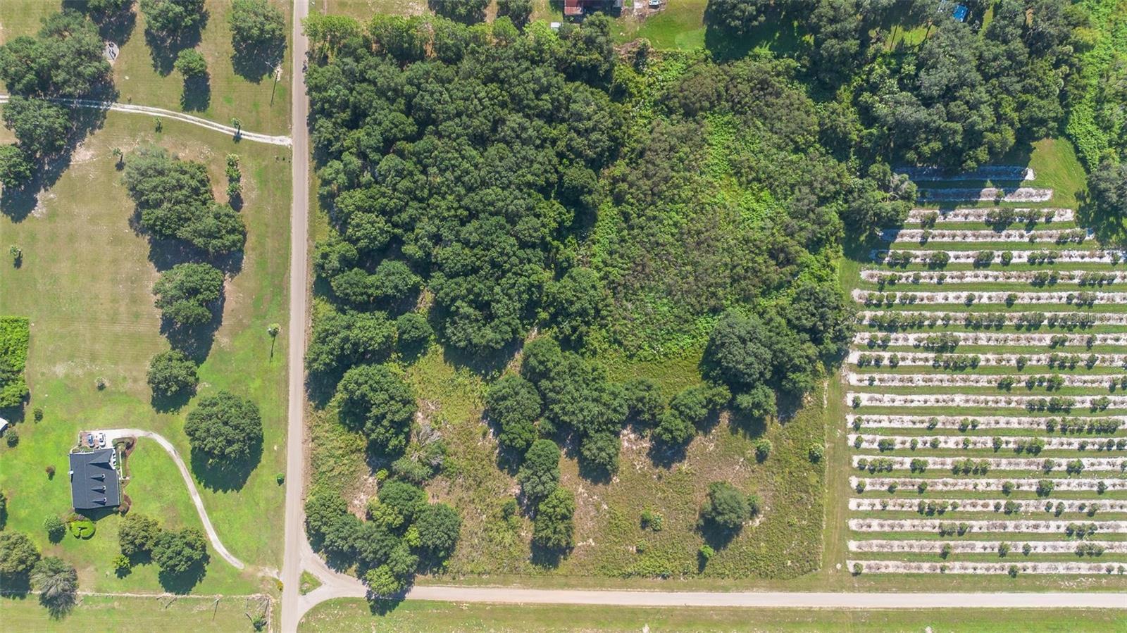 Yale Hammock Road, FL