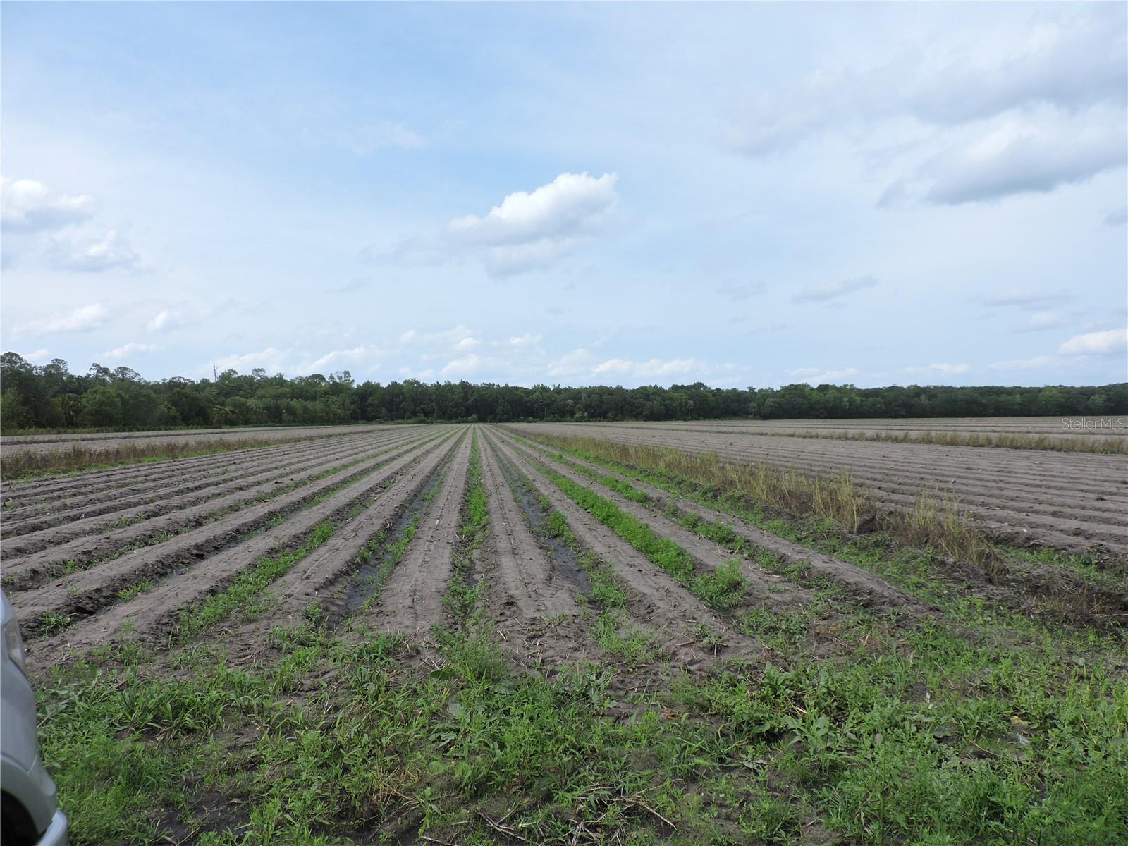 County Road 108 Road, FL