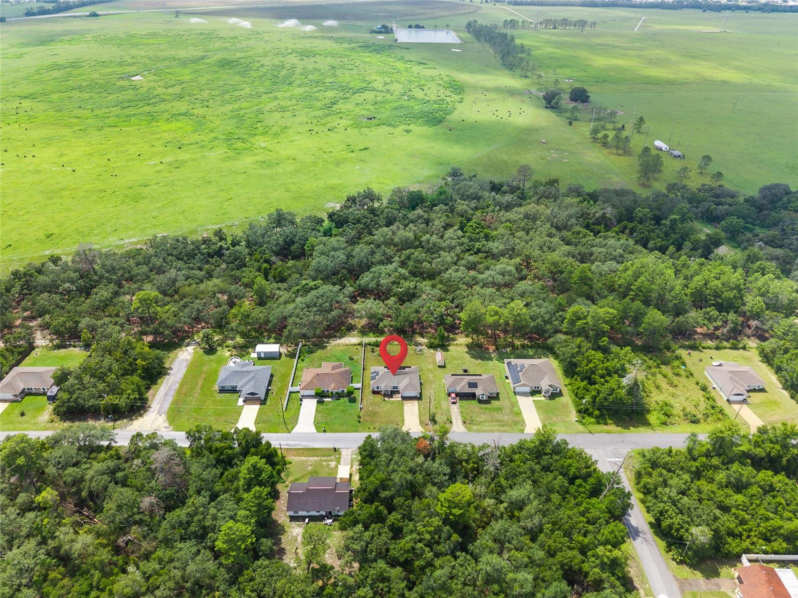 167 Oak Circle, FL