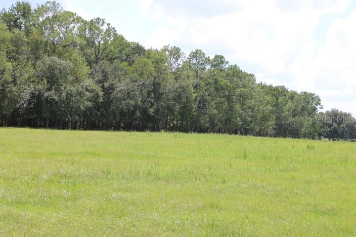 Green Swamp Road, FL