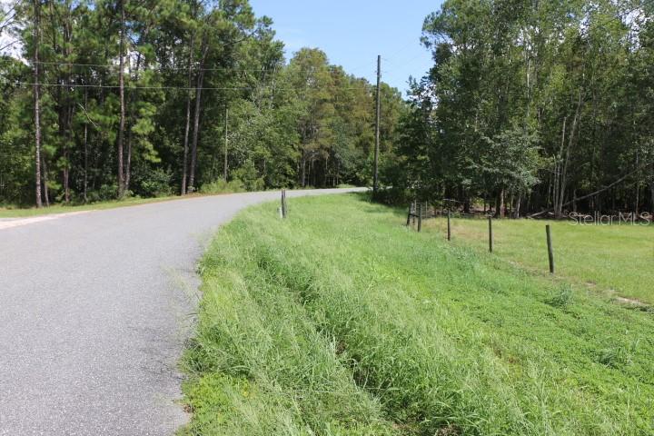 Green Swamp Road, FL