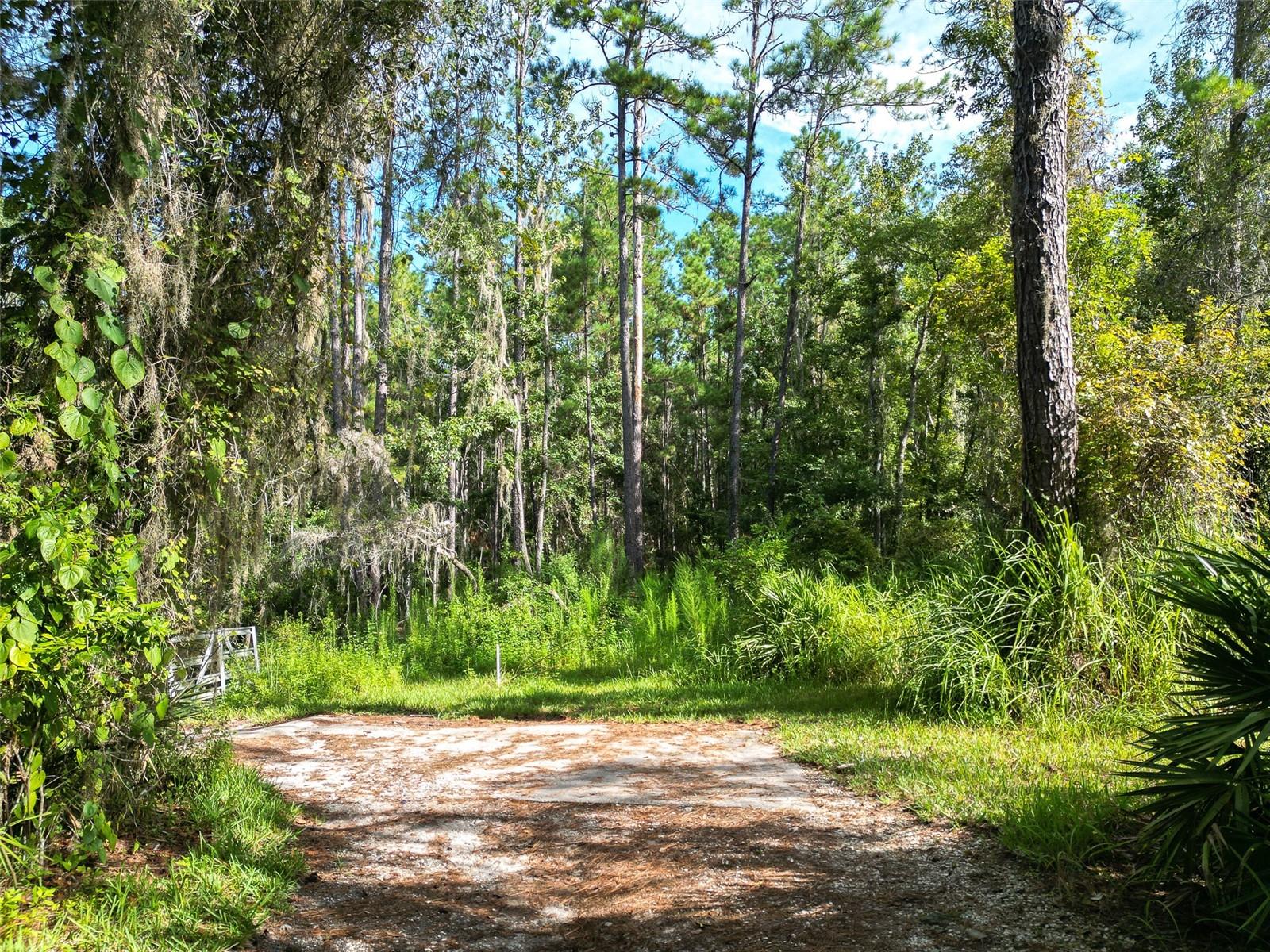 Aylesboro Court, FL
