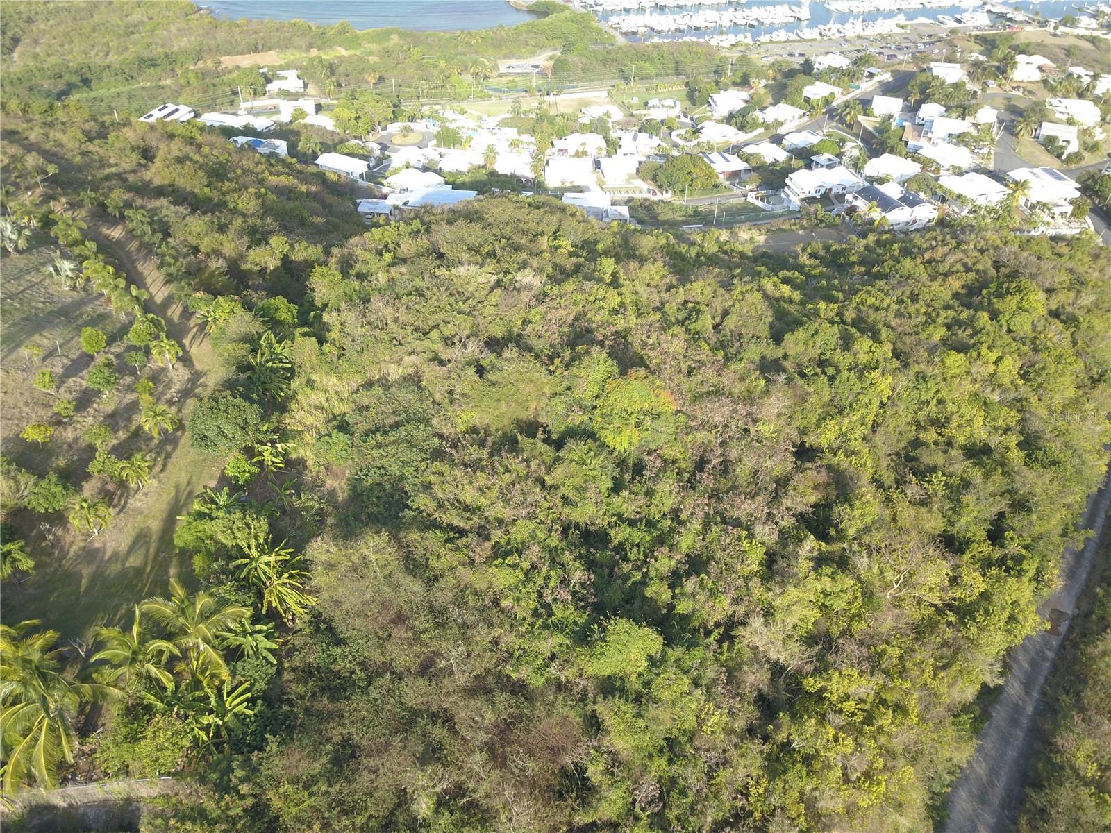 Lot #66 Las Gaviotas Carretera 3, Ceiba, Fajardo 00738 Crossroad, PR