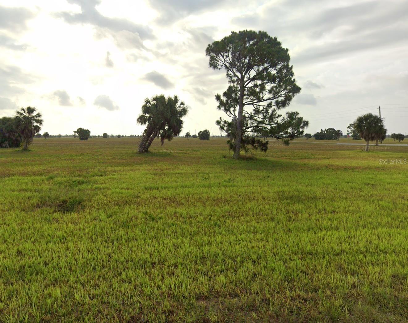 6 Elm Drive, FL