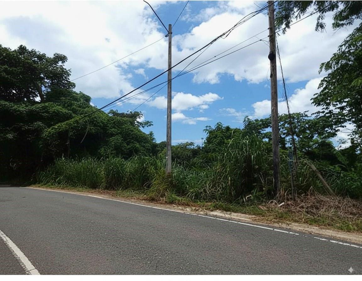 Sr 108 Km 7.4 Rio CañAs Wd, PR