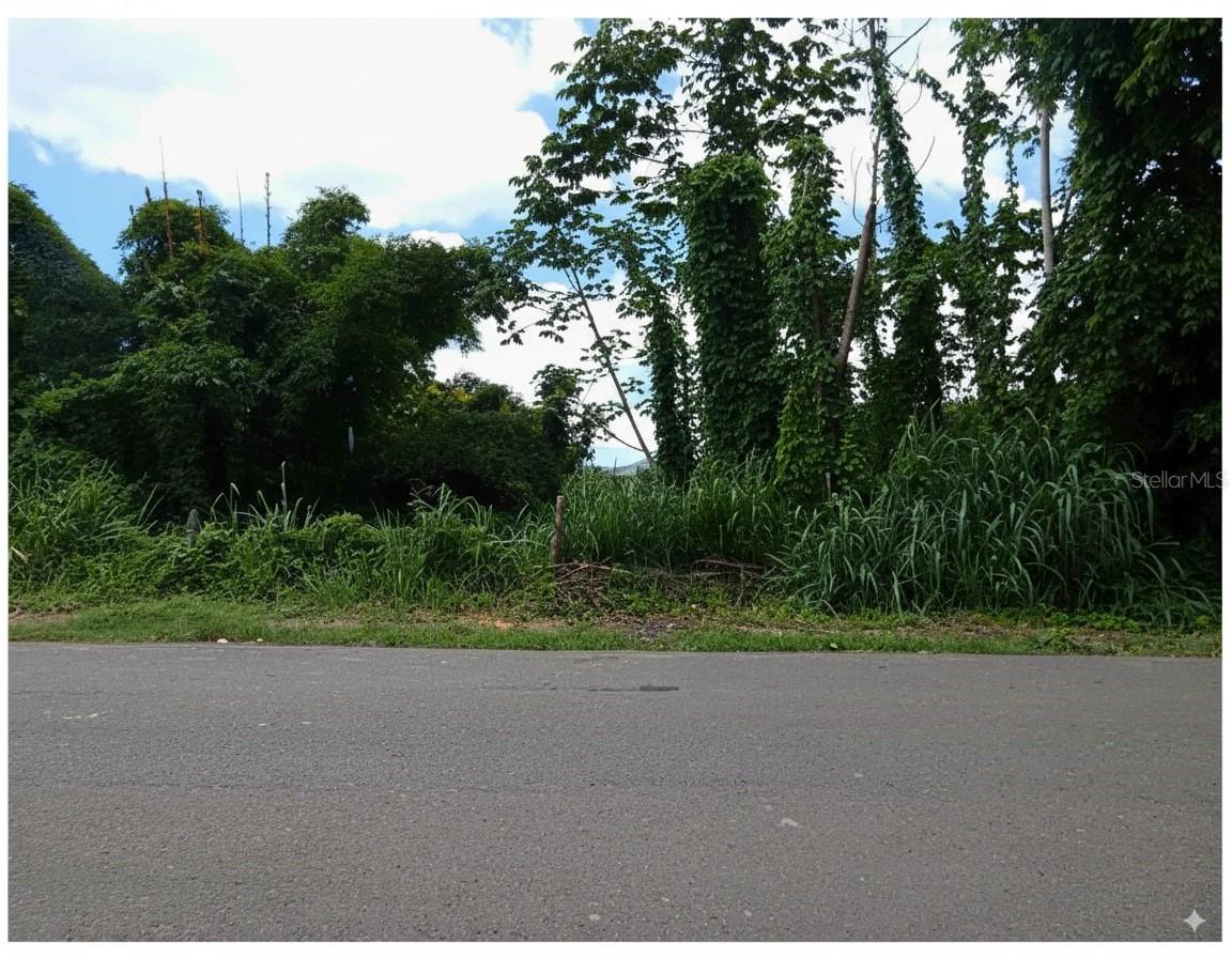 Sr 108 Km 7.4 Rio CañAs Wd, PR