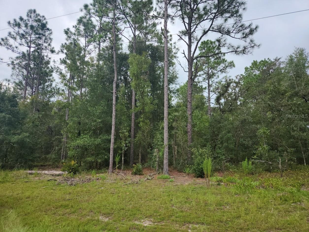 Lot 24 89th Circle, FL