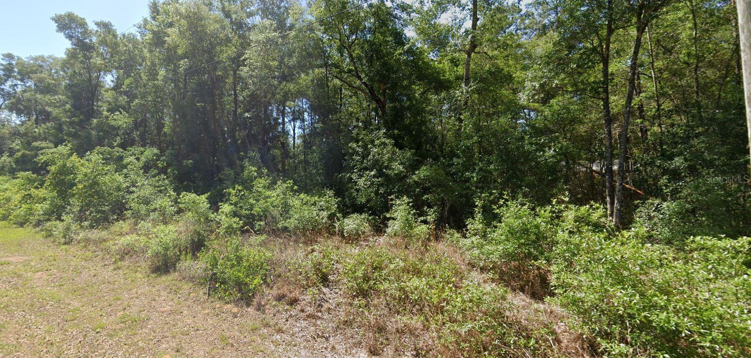 00 Starling Drive, FL