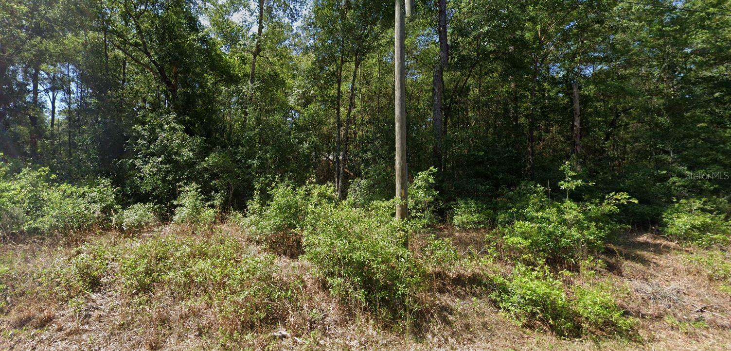 00 Starling Drive, FL