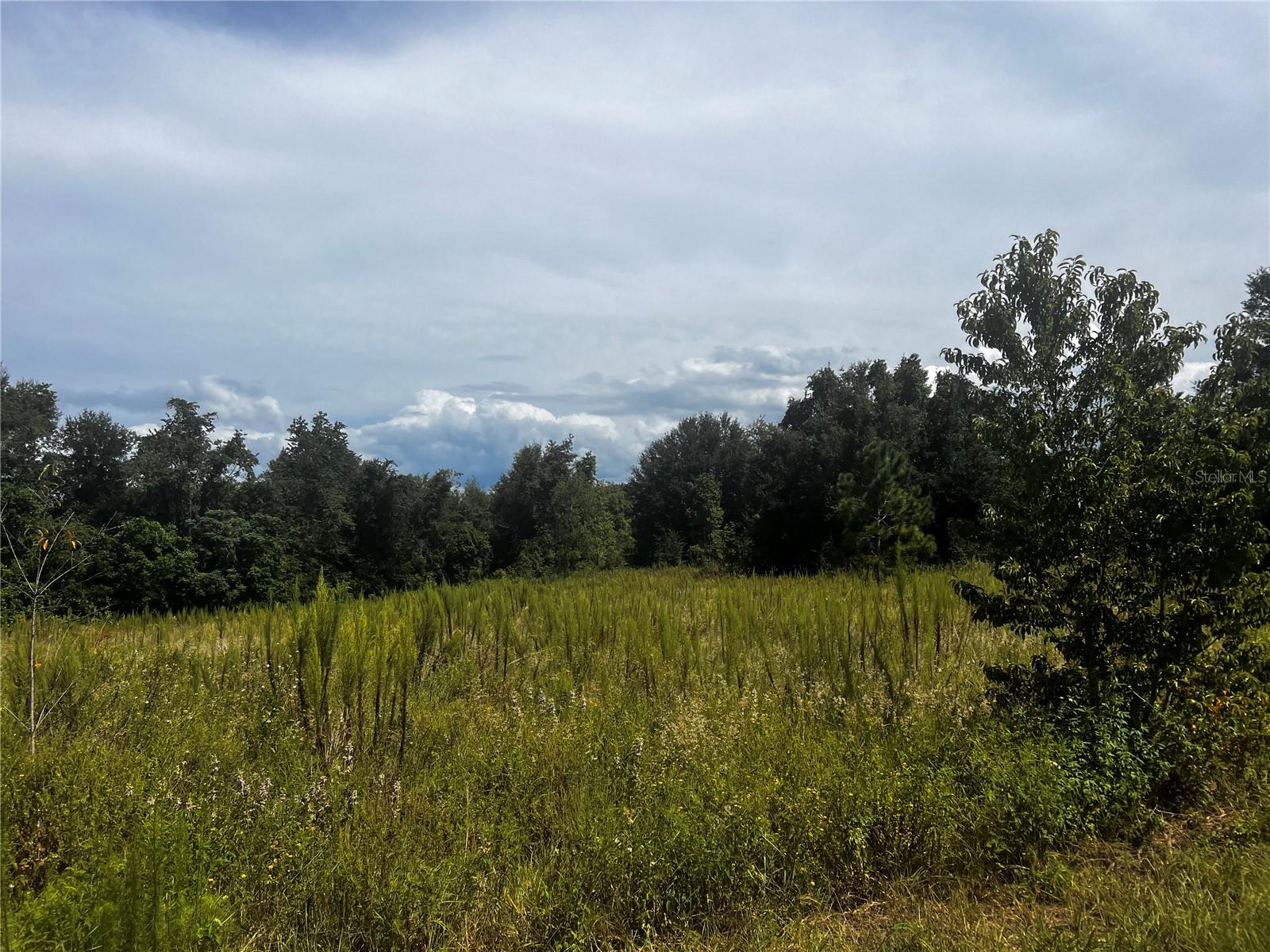 Sugarloaf Mountain Rd, FL