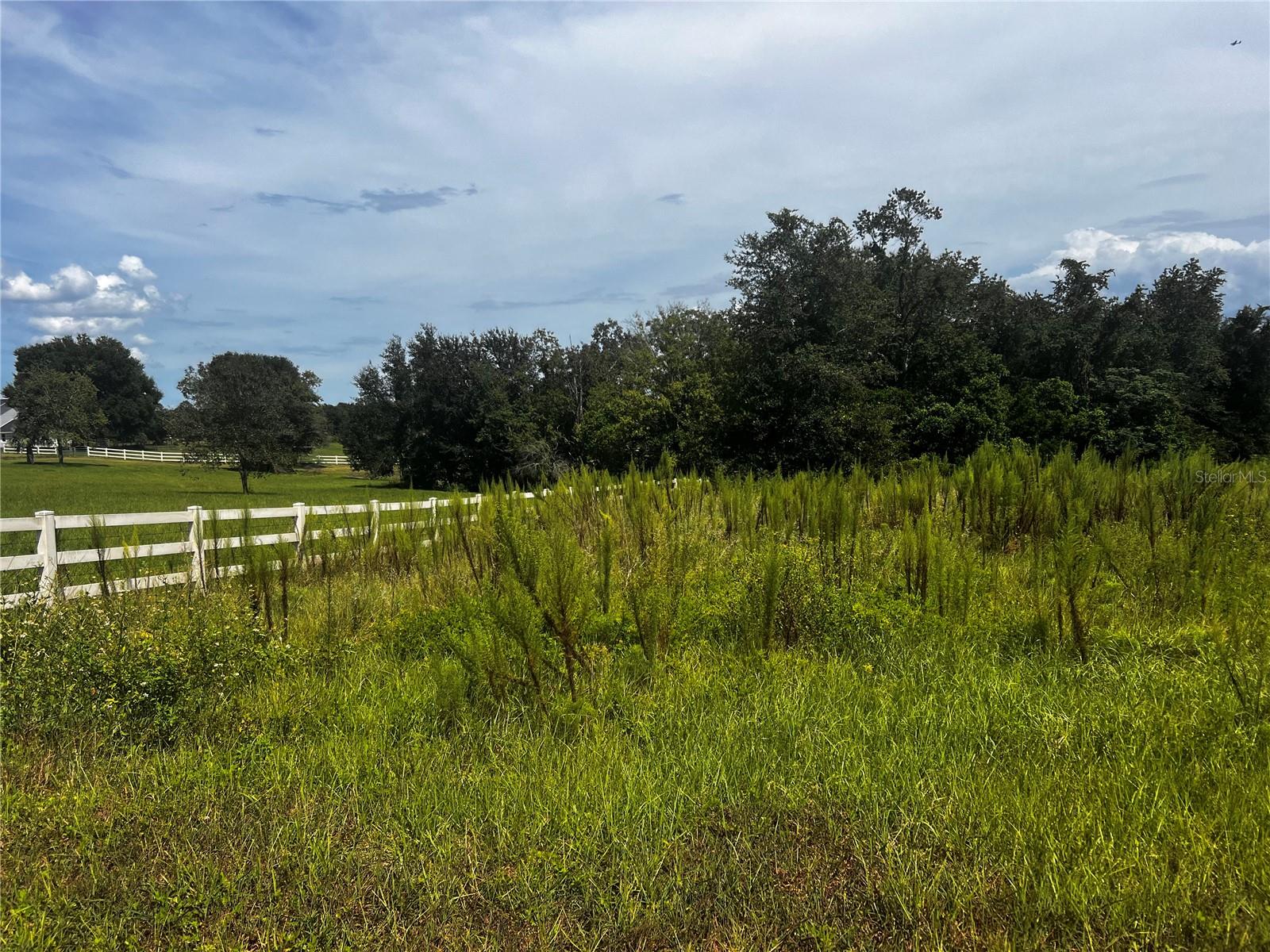 Sugarloaf Mountain Rd, FL