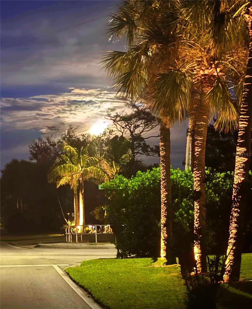 821 Laguna Drive, FL