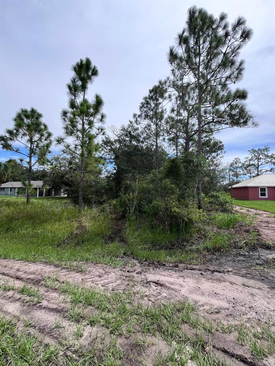 164 Desoto Avenue, FL