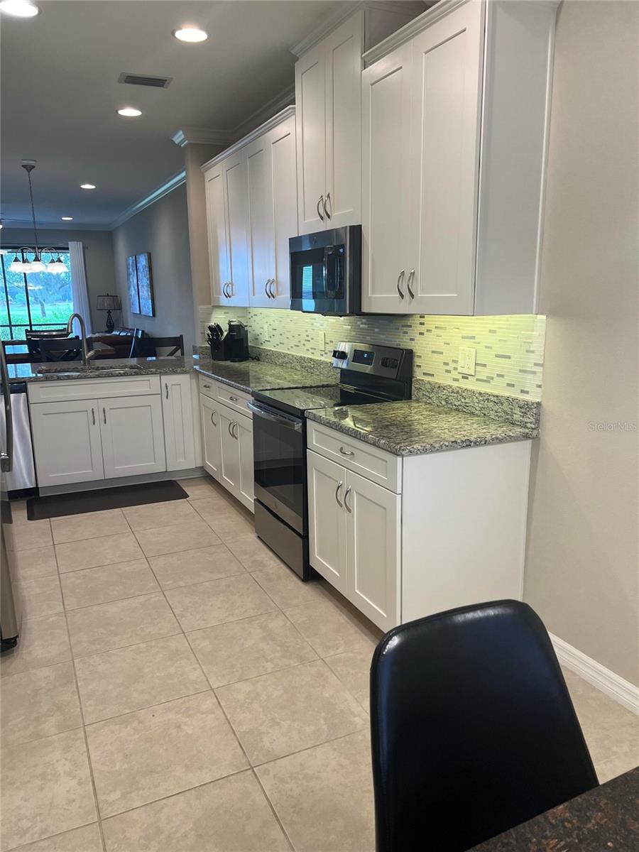 13737 Messina Loop, FL