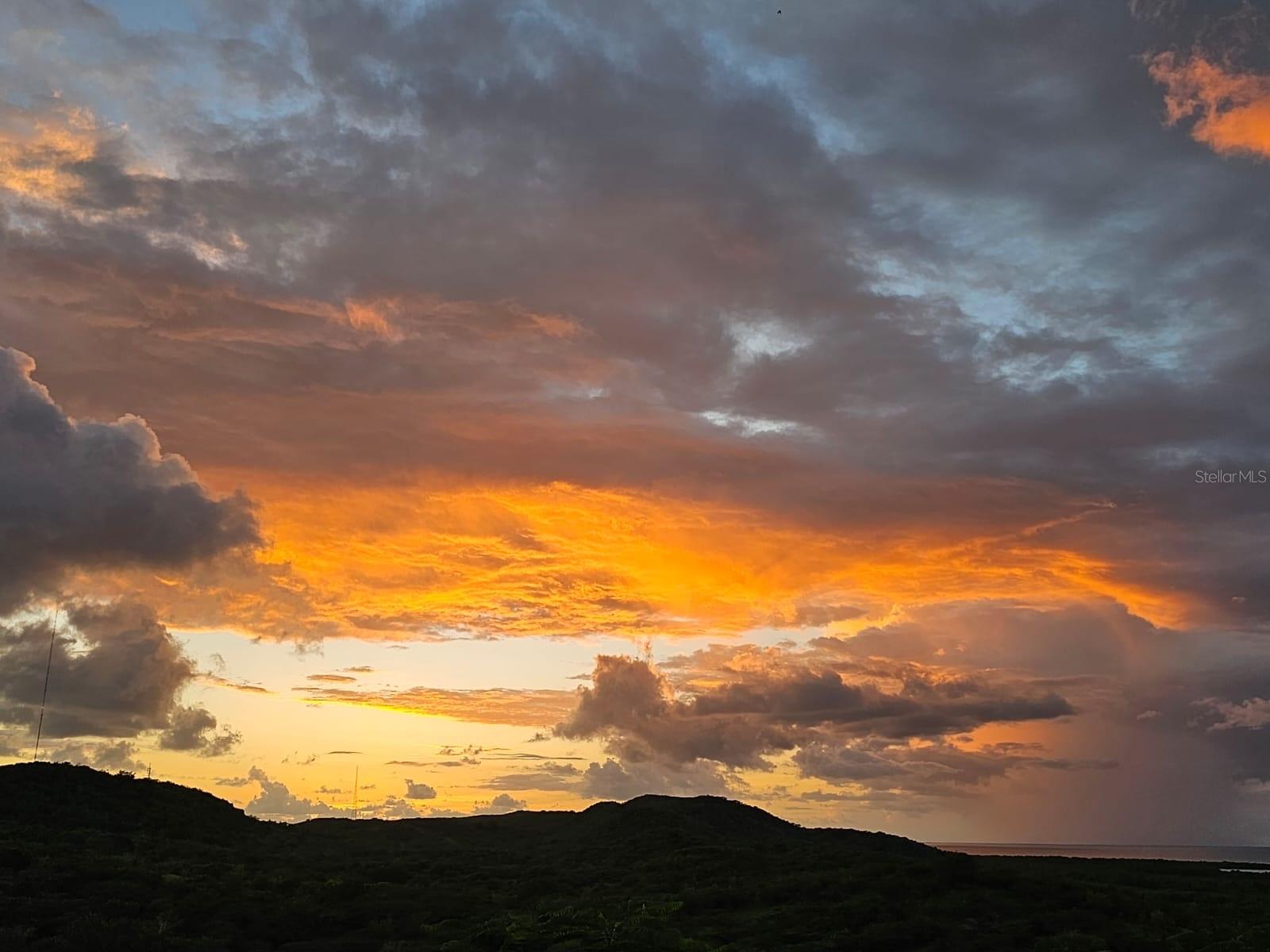 Carr 301 Km 3.2 Montelcarlo State, PR