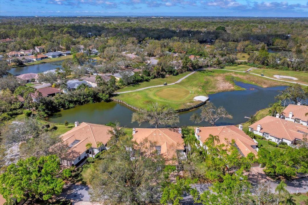 3881 Chatsworth Greene Court, FL