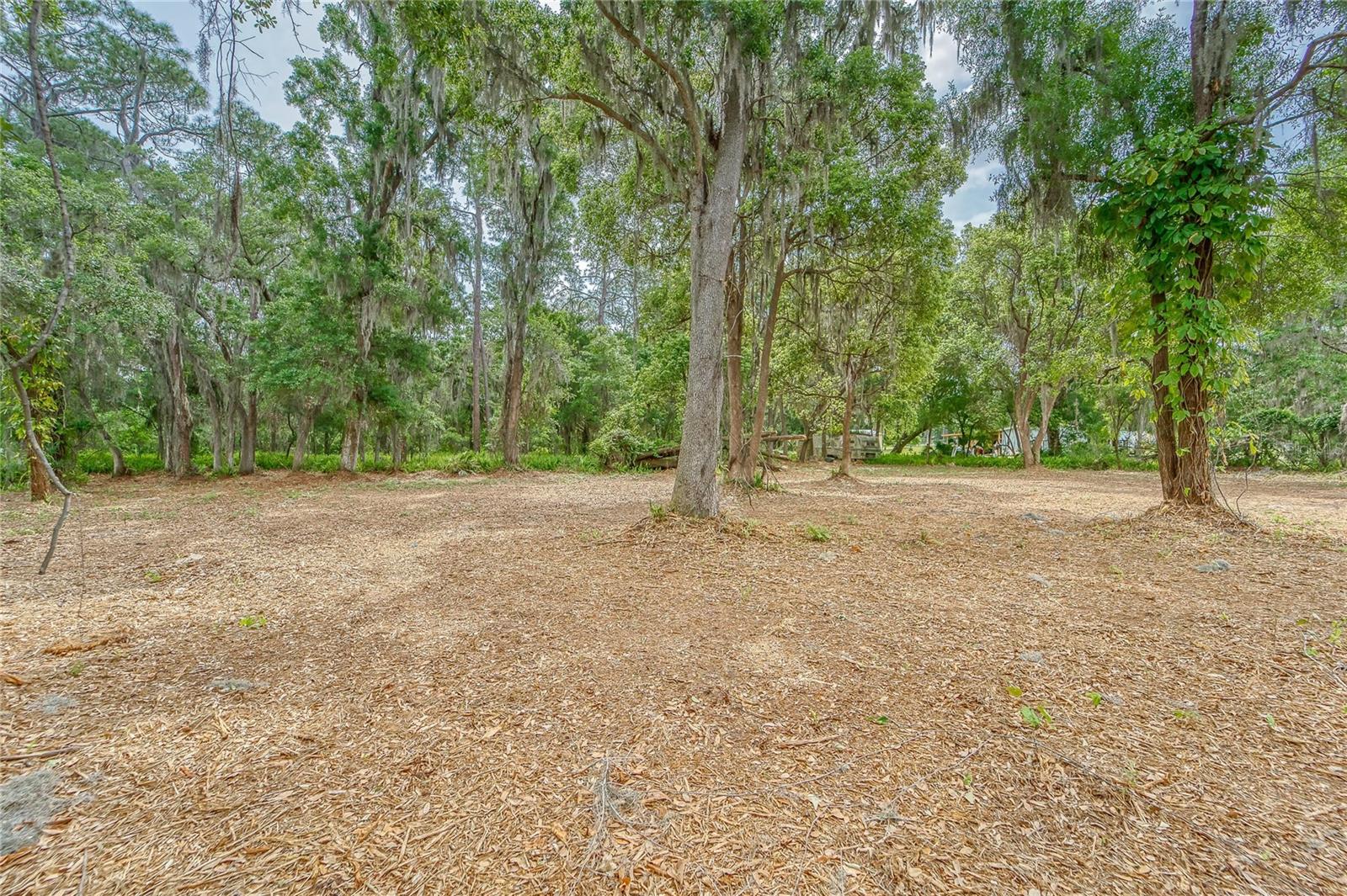 Turkey Creek, FL