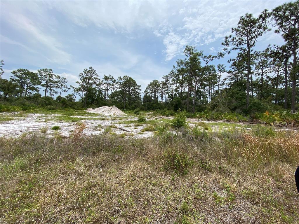 6691 Deland Avenue, FL