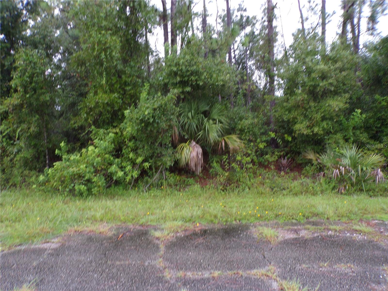 Nocturn Street, FL