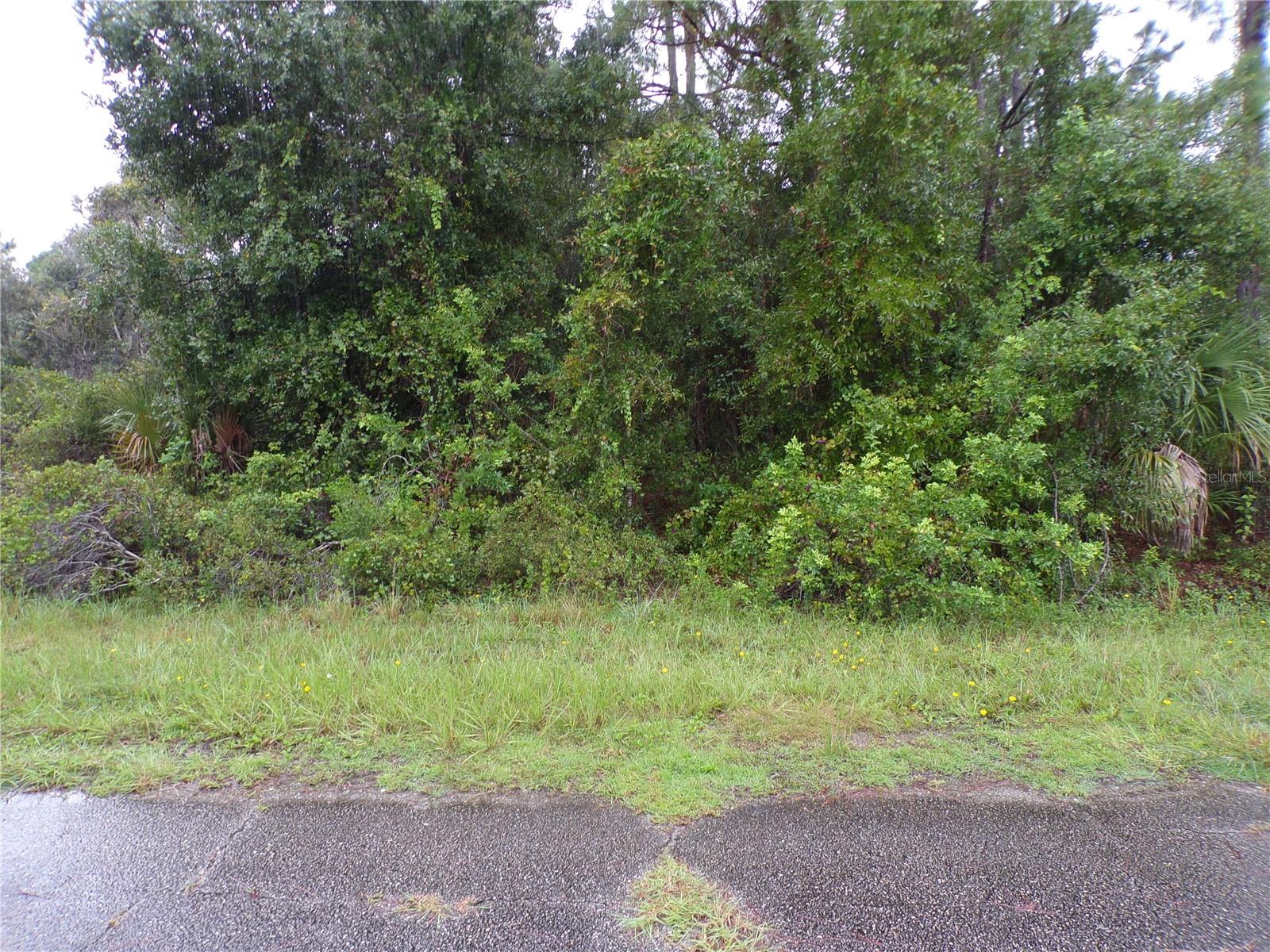 Nocturn Street, FL