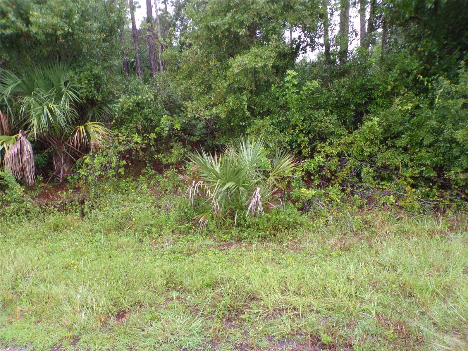 Nocturn Street, FL