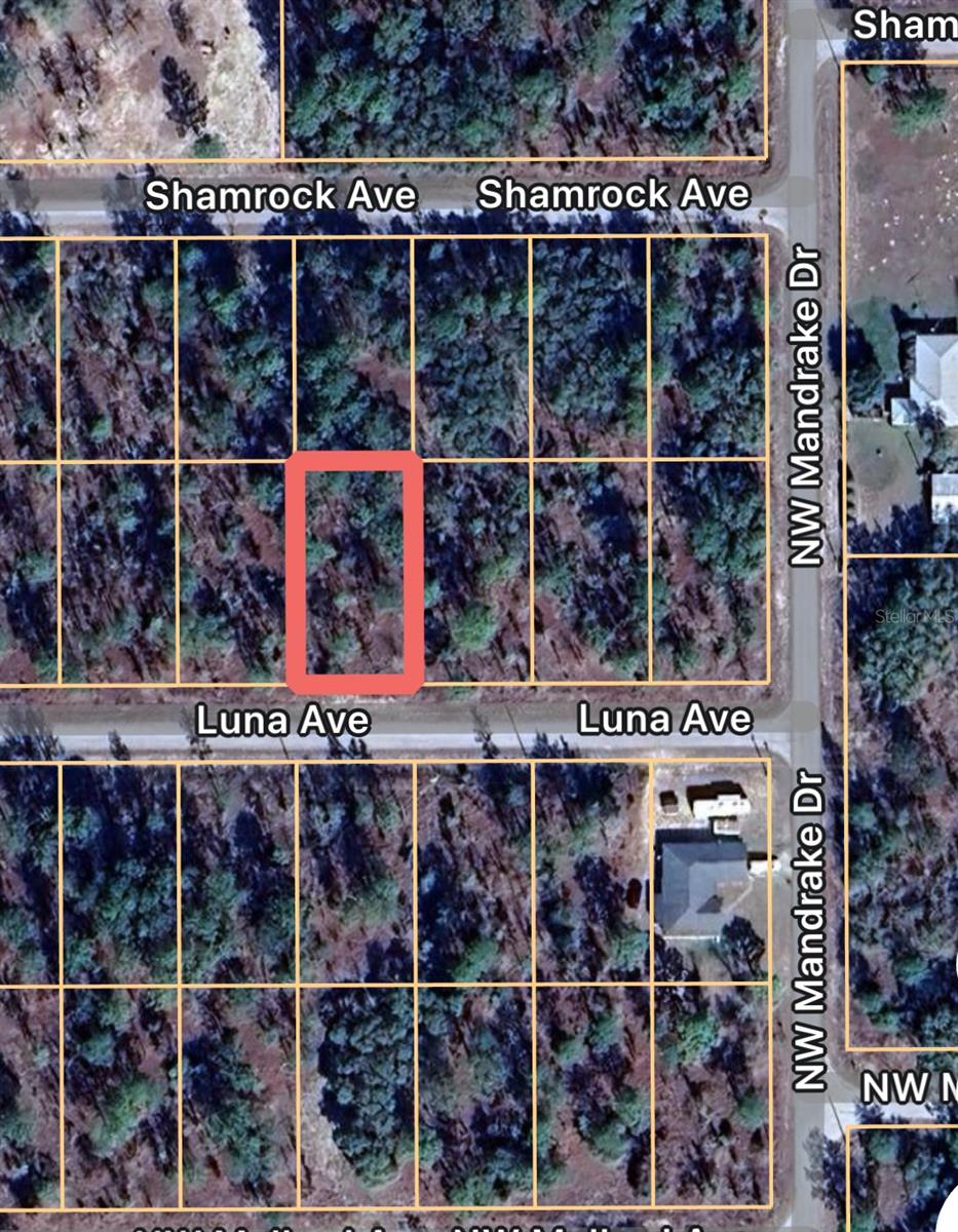 0 Luna Avenue, FL