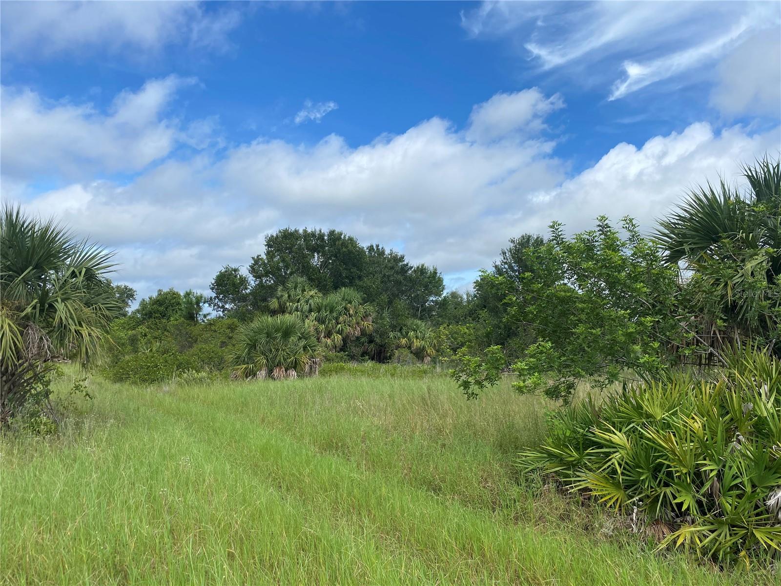 2369 Dumont Drive, FL