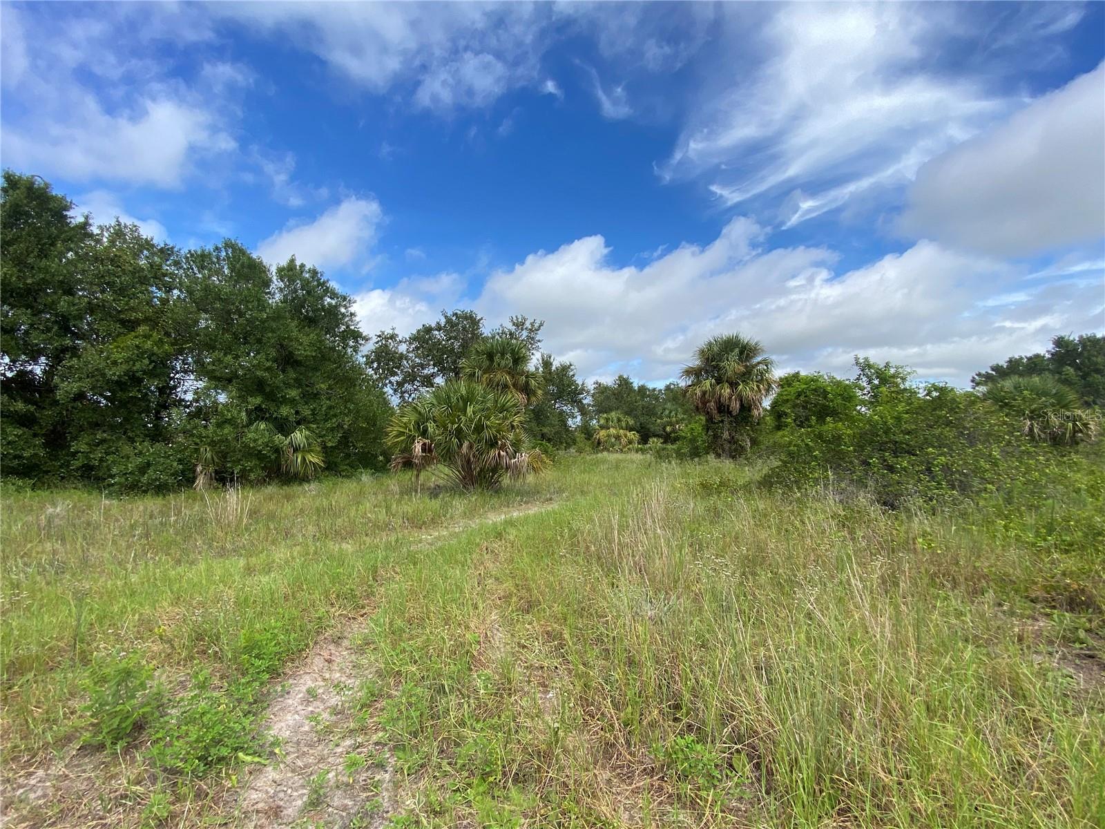 2369 Dumont Drive, FL
