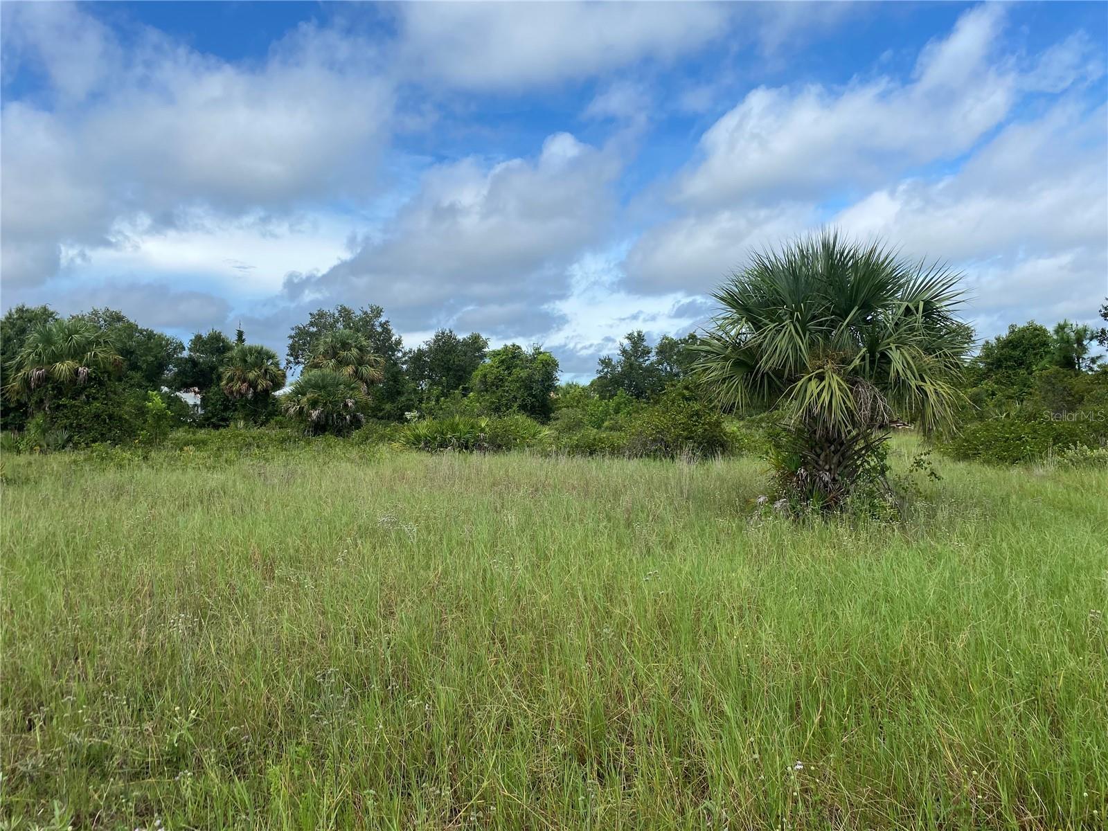 2369 & 2379 Dumont Drive, FL