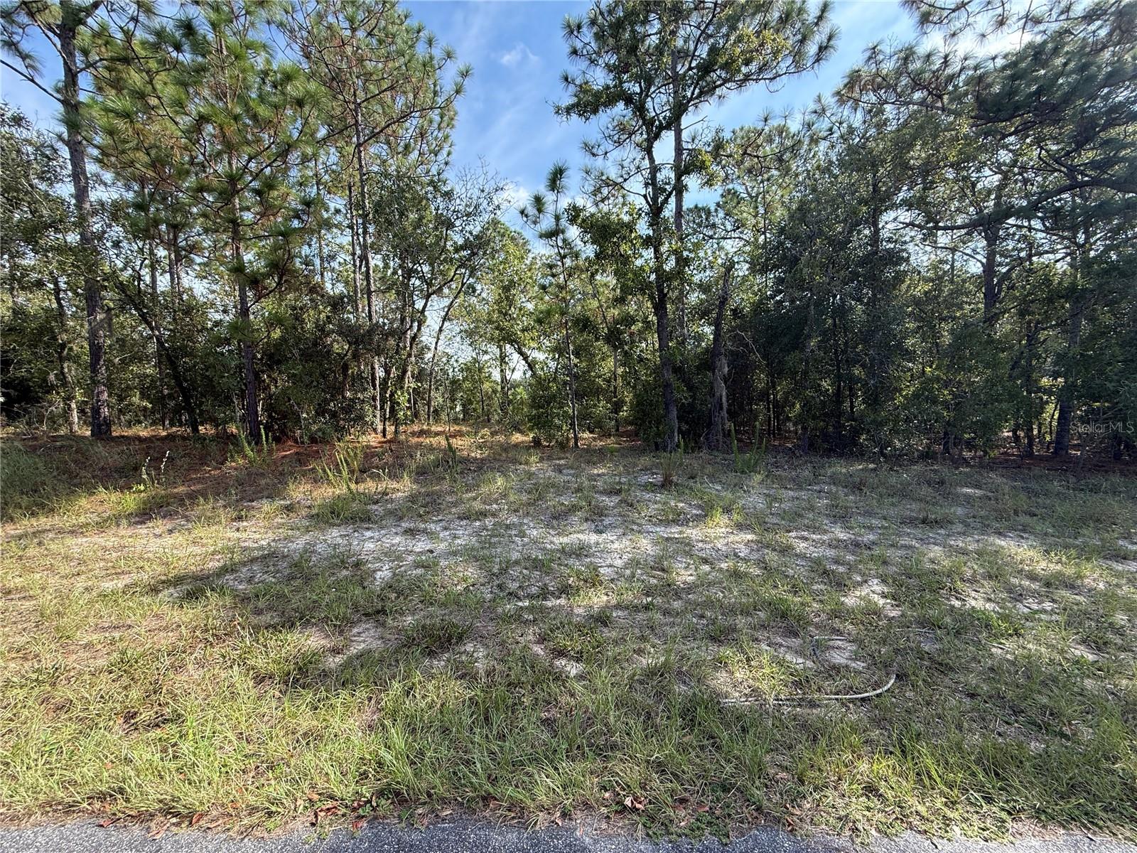9339 Milam Way, FL