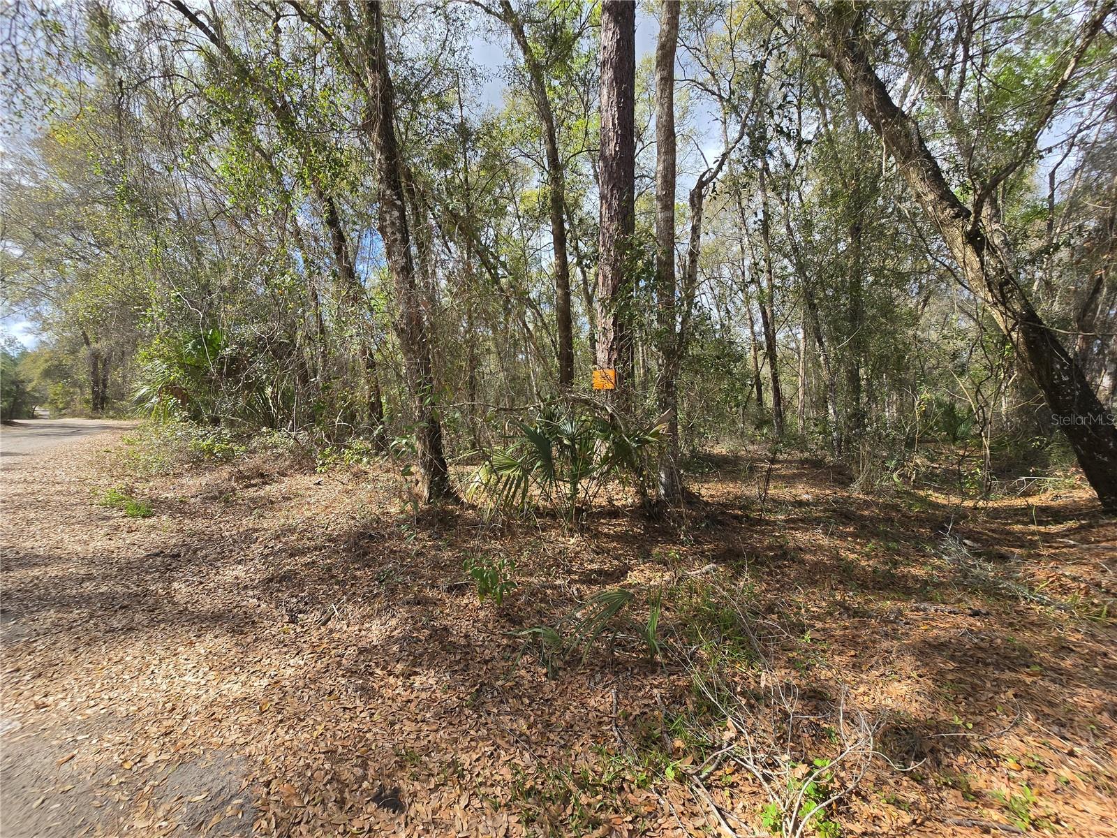 Bright Way, FL